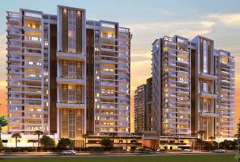 Privie Sanctum Update