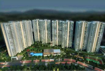 Shapoorji Pallonji Vicinia Update