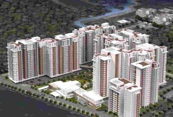 Doshi Risington Update