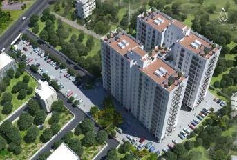 Navin White Berry Update