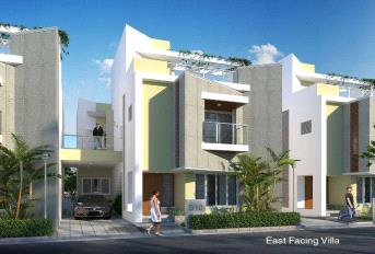 Casa Grande Neona Update