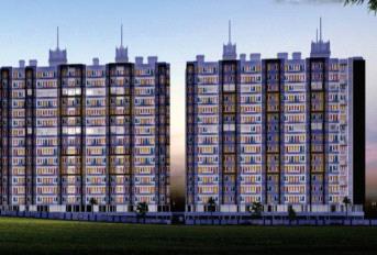 Pristine Greens Update