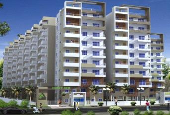 Aakriti Honey Dew about project