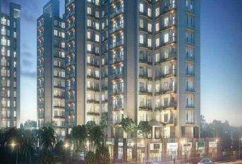 Magnolia Oxygen Update