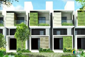 Citrus Zen Garden Update