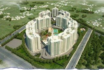 Vascon Forest County Update