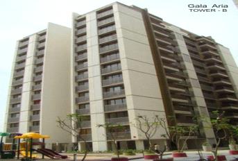 Gala Aria about project