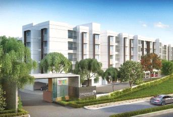 Casagrand Asta Update