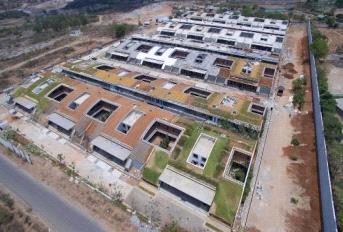 Total Environment The Meadow Dance Update