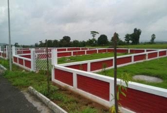 Wing Mount Amora Update