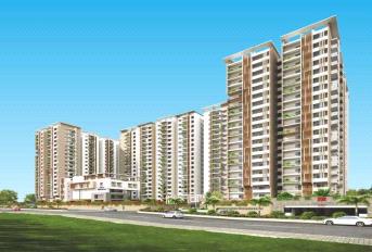 Rajapushpa Regalia Update