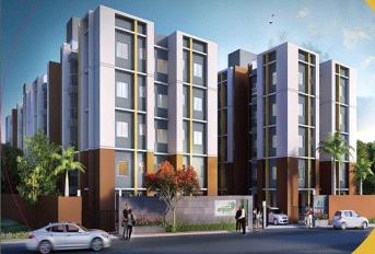 Magnolia Srijana Update