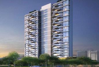 Signum Victoria Vistas Update