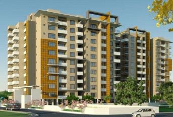 Shravanthi Palladium Update