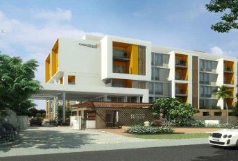 Casa Grand Royce Update