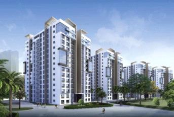 SJR Hamilton Homes Update