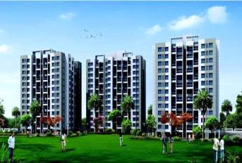 Gulmohar Primrose Update