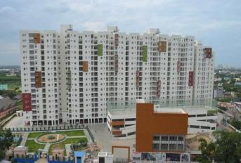 Kochar Panchsheel Update