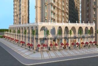 Signature Signum 37D Update