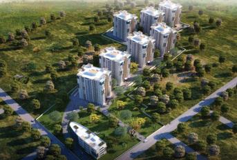 SJR Parkway Homes Update