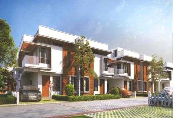 NVT Mystic Garden Update