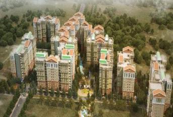 Team Taurus The County Update