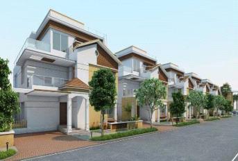 NCC Urban Green Province Update