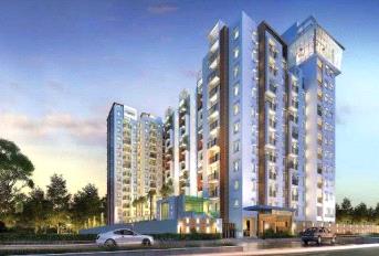 TVS Emerald LightHouse Update