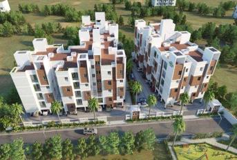 XS Real Centra Update