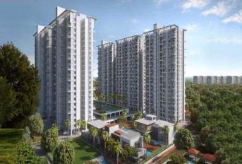 Bhandari 7 Plumeria Drive Update