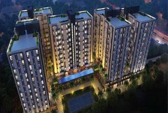 Magnolia Empire Update