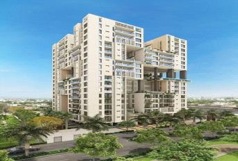 ARG One Argus Update