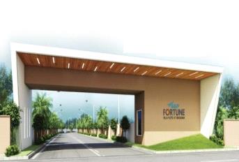 S And P Fortune Update