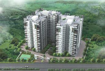 DSR Sunrise Towers Update