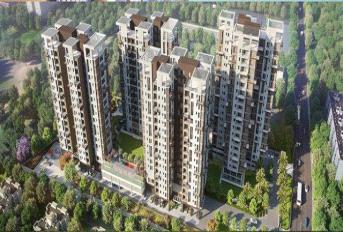 Shivom Utopia Update