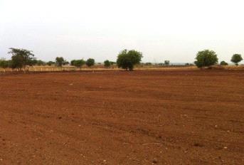    Residential Plot for sale in THK serenia valley Hyderabad