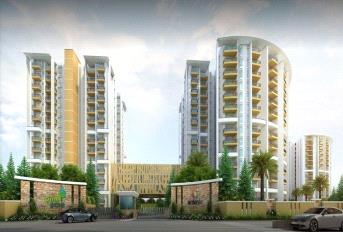 Ardente Pine Grove Update