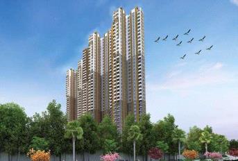 Pashmina Waterfront Update