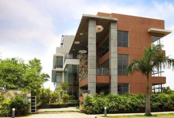 Pionier Lifestyle Update