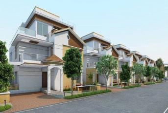 NCC Urban Green Province Update