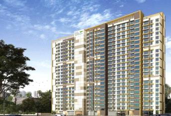 The Baya Junction Update