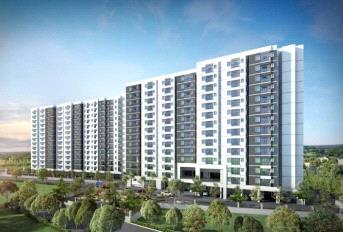 Alliance Jasmine Springs Update