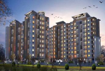 EXD Five Rings Update