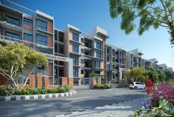 Brigade Woods Update