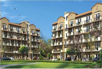  3  BHK  Independent/ Builder Floor for sale in Emaar MGF Emerald Floors Premier Gurgaon