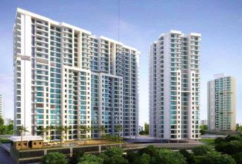 Dimple Pinnacolo Update