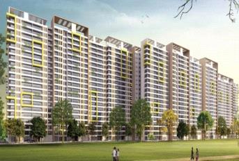 SJR Palazza City Update