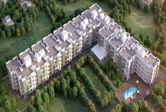 NCC Urban Temple Trees Update