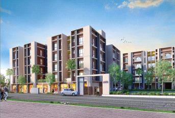 Magnolia Success Update