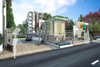 Sushma Joynest ZRK 1 Update